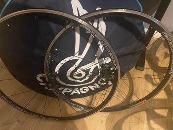 Used Campagnolo Zonda C17 2024 Wheels