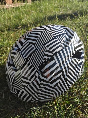 Used Kask Wasabi Light bike — image 6 of 12