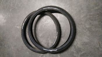 Used Continental Moutain King Protection 2023 bike — image 1 of 5