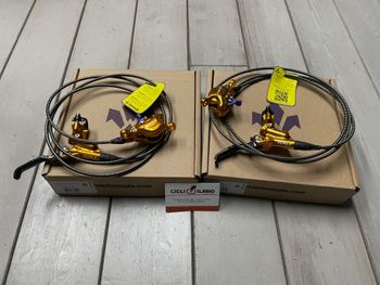 Formula, Cura X Gold