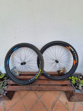 Used Newmen Evolution SL A.30 2020 Wheels