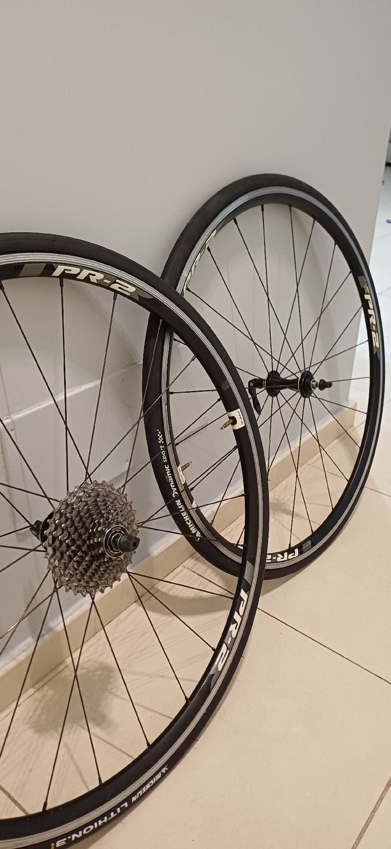 Giant pr-2 null - Main Image