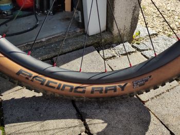 Brugt Dt Swiss Custom built Carbon 2025 bike — billede 4 af 11