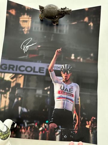 Tweedehands Pissei UAE 2023 bike — afbeelding 2 van 2