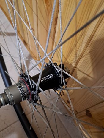 Used extralight corda berd 2024 bike — image 6 of 7