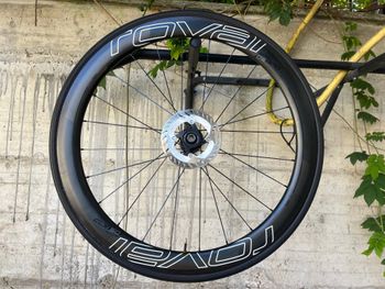Used Roval Rapide CLX 50 2021 Wheels