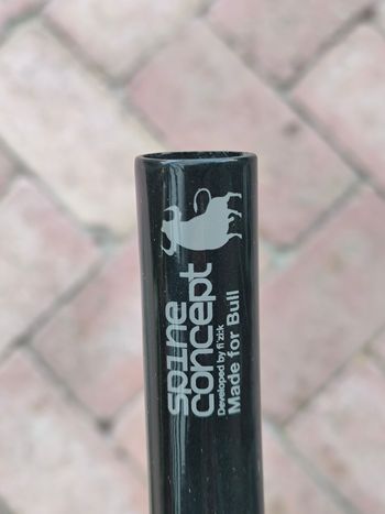 Used Fizik Cyrano R1 2023 bike — image 3 of 6