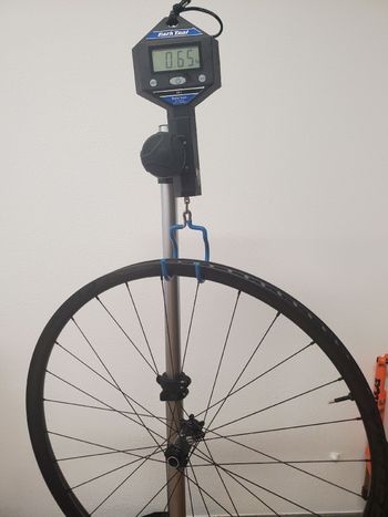 Used speedsix Rokka 2023 Wheels