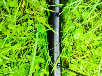 Used Mavic 622x18tc road compatible 23 to 39mm tubes/tubeless ready bike — image 2 of 6
