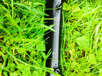 Used Mavic 622x18tc road compatible 23 to 39mm tubes/tubeless ready bike — image 1 of 6
