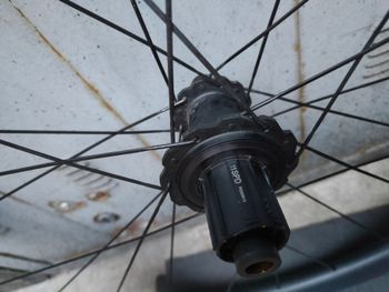 Used OQUO RP45LTD 2024 bike — image 5 of 6