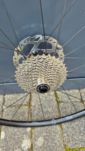 Tweedehands Dt Swiss endurace 2025 bike — afbeelding 2 van 4