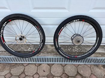 Used Sram Roam 60 Wheels