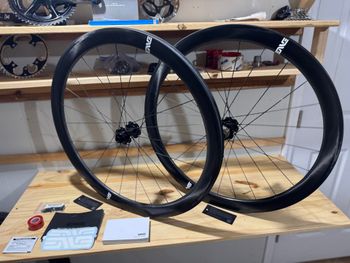 Used Enve foundation 45 * with upgraded hubs 2025 bike — image 1 of 8