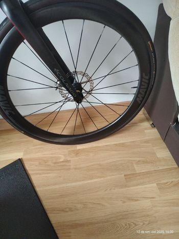Used Mavic SL 45 DISC CARBONO 2025 Wheels