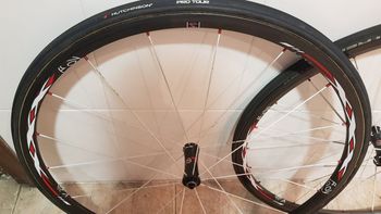 Used Bontrager Bontraguer XXX tubular carbono zapata 2011 bike — image 3 of 6
