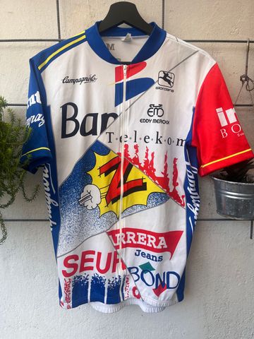 Gebrauchtes Giordana Mixed Teams 90th 2000 bike — Bild 2 von 8