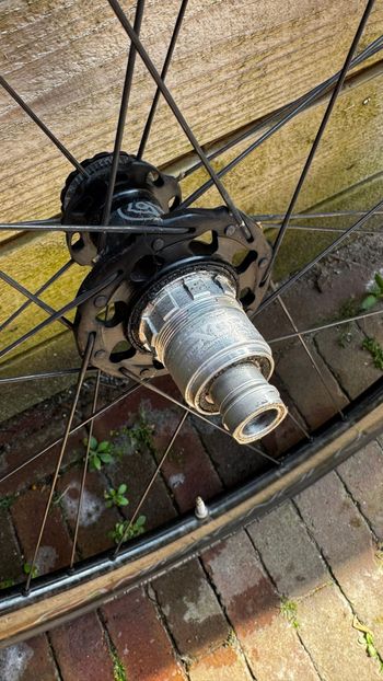 Brugt Campagnolo Shamal C21 2023 bike — billede 4 af 5