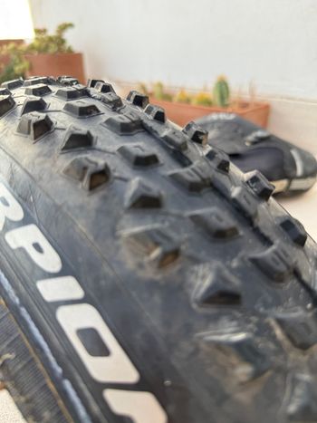 Used Pirelli Scorpion XC S e/o R 2025 bike — image 1 of 4