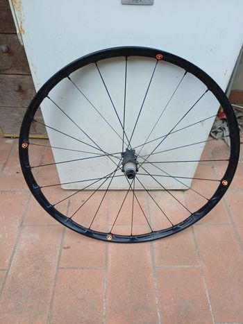 Gebrauchtes Alchemist RR2 29 Carbonio Boost Wheelset 2023 Wheels