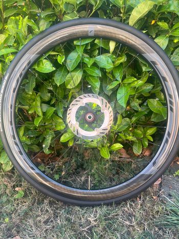 Tweedehands Fulcrum wind 40 carbone 2023 bike — afbeelding 5 van 6