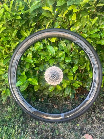 Used Fulcrum wind 40 carbone 2023 Wheels
