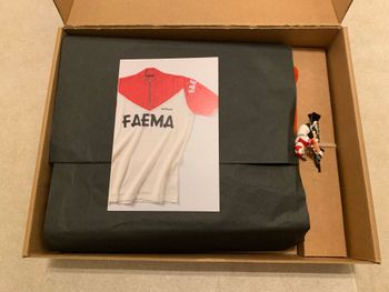 Used De Marchi FAEMA Limited Edition Wool Cycling Jersey 2020 bike — image 4 of 7