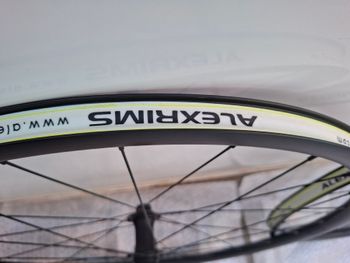 Gebrauchtes alex rims Boondocks 5 2025 bike — Bild 5 von 7