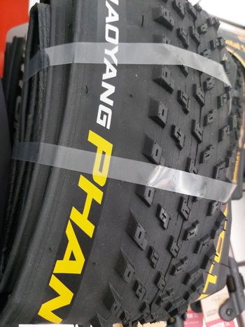 Used chaoyang Phantom Wet 29x2.30 TR 2025 bike — image 2 of 2
