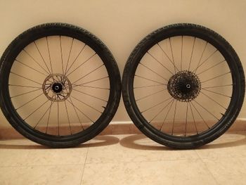 Fulcrum, rapid Red carbon