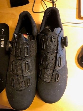 Used Fizik Fizik Radschuhe 2023 bike — image 1 of 3