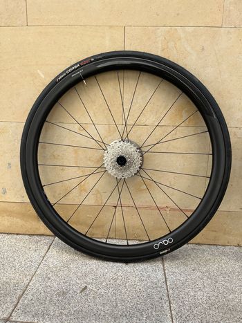 Used Orbea RP35Team 2025 Wheels