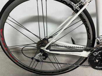 Tweedehands Campagnolo Shamal Ultra 2013 Wheels