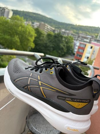 ASICS SPEED SKY TOKYO25センチ Asics Metaspeed Sky Tokyo 2025