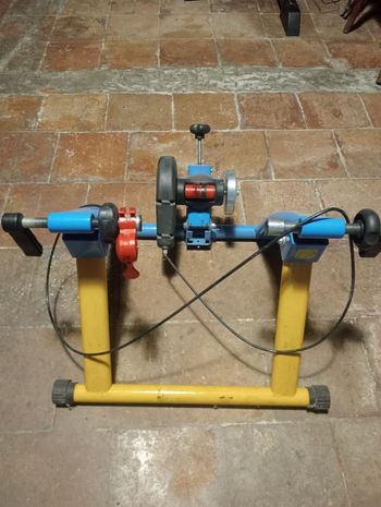 Used Velomann rulli 2007 bike