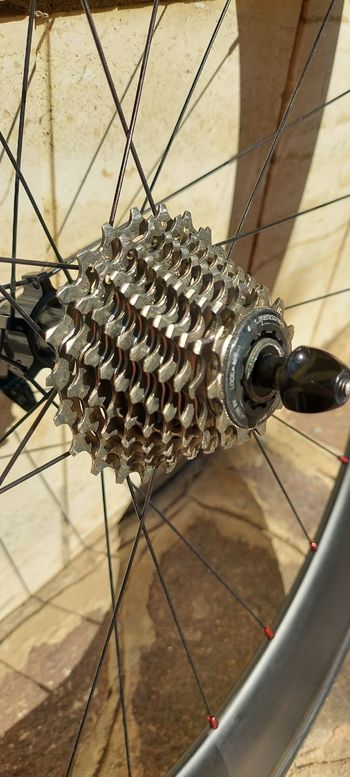 Used No brand profilo anteriore 50 posteriore 88 2020 bike — image 3 of 19