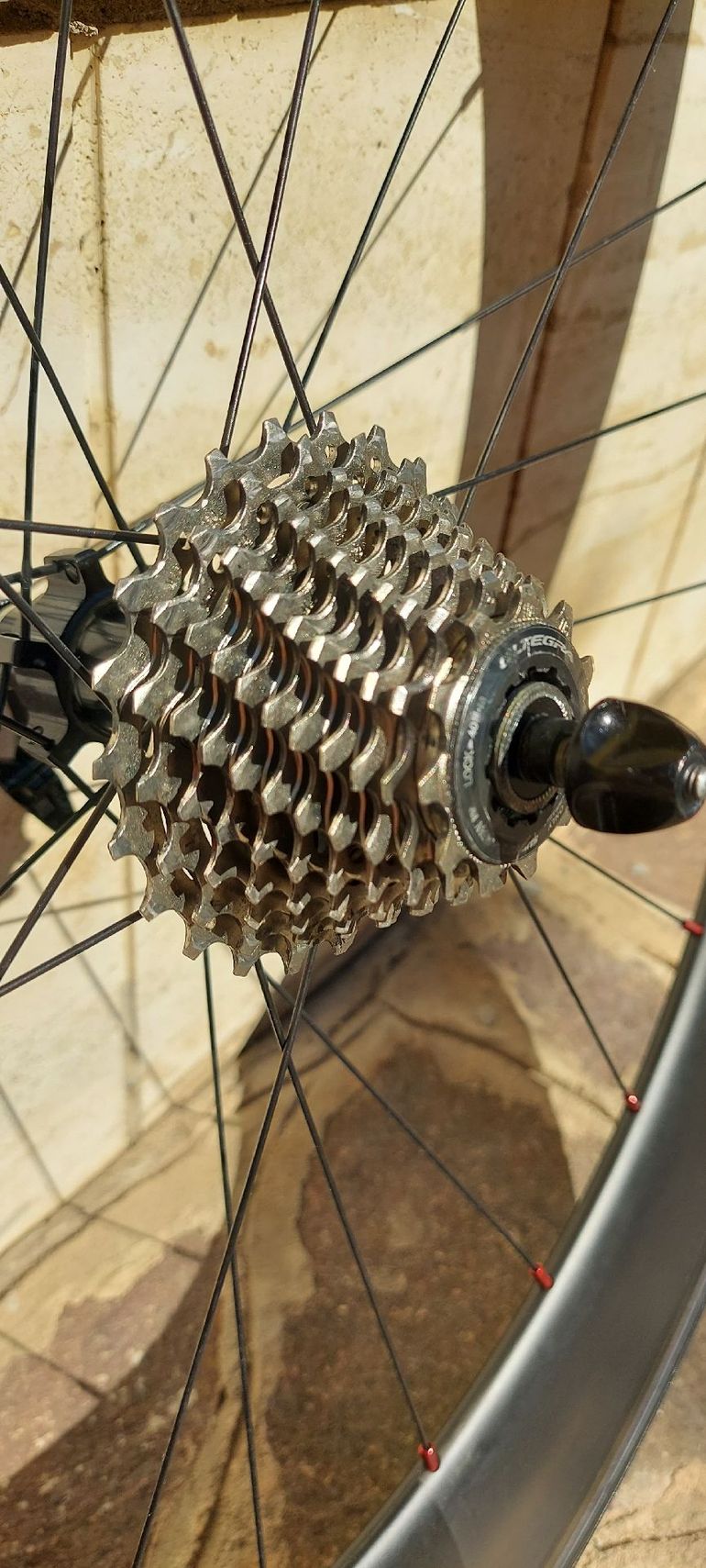 Used No brand profilo anteriore 50 posteriore 88 2020 bike — image 3 of 19