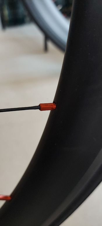 Used No brand profilo anteriore 50 posteriore 88 2020 bike — image 10 of 19