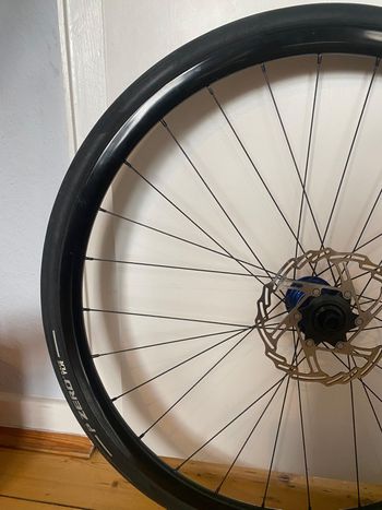 Gebrauchtes Tune Laufradsatz tune 2022 bike — Bild 3 von 9