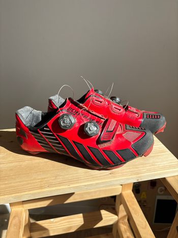 Bontrager, XXX