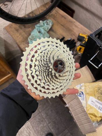 Used Rotor 12 SPEED SL CASSETTE 11-39! 2025 bike — image 2 of 2