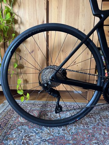 Used Bontrager Paradigm SL Wheels