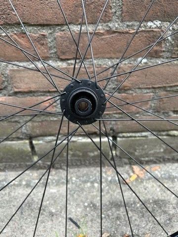 Used BlackJack Rodi Corsa Disc bike — image 2 of 4