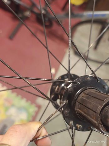 Used Dt Swiss wheelset bike — image 15 of 15