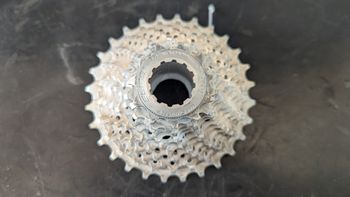 Cassette XLC 10 Vitesses 12-26 Dents – Compatible Campagnolo – Neuve