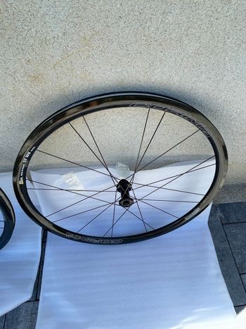 ws black 32 mm a disque 2024 bike usato — immagine 4 di 7