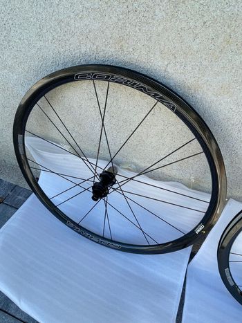 ws black 32 mm a disque 2024 bike usato — immagine 3 di 7