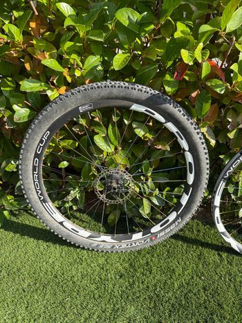 Used PROTOTYPE carbon Prototype world cup 2024 bike — image 3 of 6