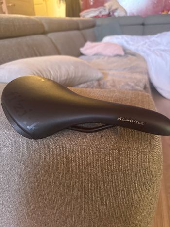 Fizik, Aliante