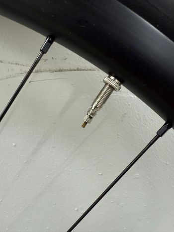 Używany Leeze AC 25 Allround BASIC 2024 bike — zdjęcie 3 z 3